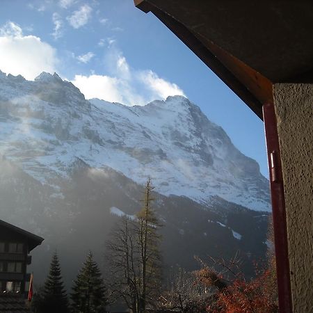 Pfaffenstoeckli Apartment Grindelwald Luaran gambar