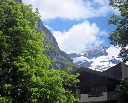 Pfaffenstoeckli Apartment Grindelwald Bilik gambar