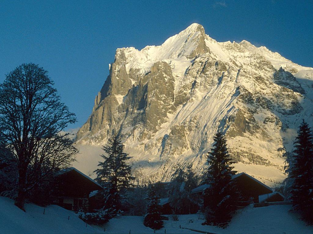 Pfaffenstoeckli Apartment Grindelwald Luaran gambar